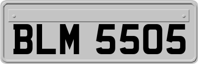 BLM5505