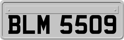BLM5509