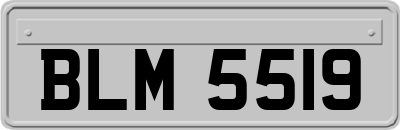 BLM5519