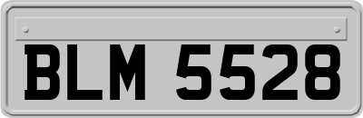 BLM5528