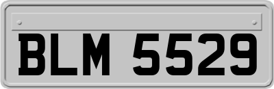 BLM5529