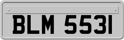 BLM5531