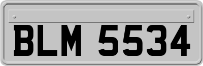 BLM5534