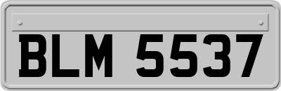 BLM5537