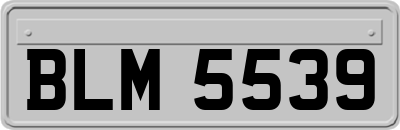 BLM5539