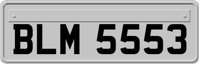 BLM5553