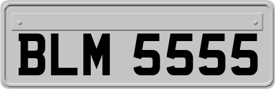 BLM5555