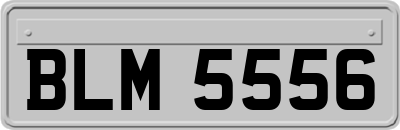 BLM5556