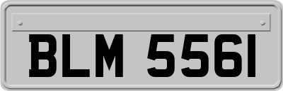 BLM5561