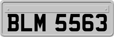 BLM5563
