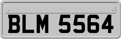 BLM5564