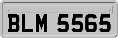 BLM5565