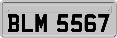 BLM5567