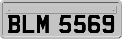 BLM5569