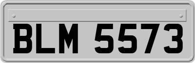 BLM5573