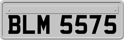 BLM5575