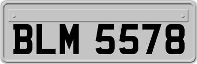 BLM5578