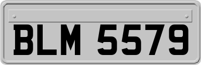 BLM5579