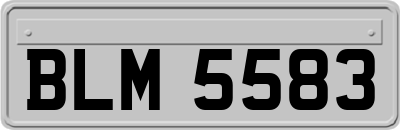 BLM5583