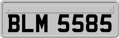 BLM5585