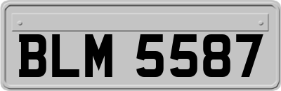 BLM5587
