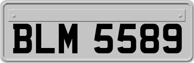 BLM5589