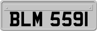 BLM5591