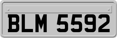 BLM5592