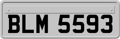 BLM5593