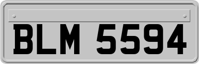 BLM5594