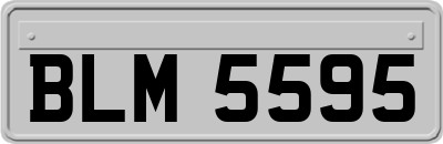 BLM5595