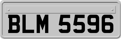 BLM5596