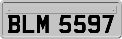 BLM5597