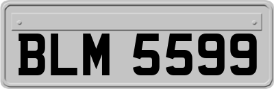 BLM5599