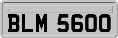 BLM5600