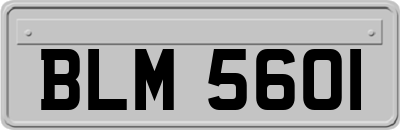 BLM5601