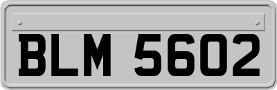 BLM5602