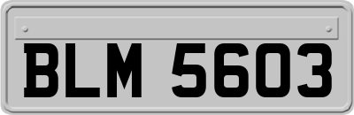 BLM5603