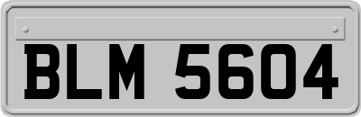 BLM5604
