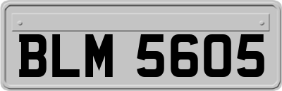 BLM5605