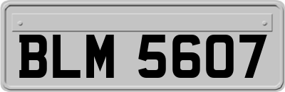 BLM5607