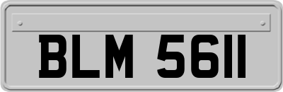 BLM5611
