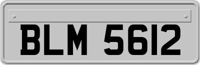 BLM5612
