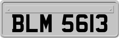 BLM5613