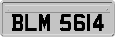 BLM5614