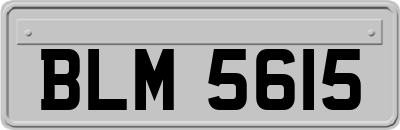 BLM5615
