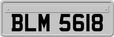 BLM5618