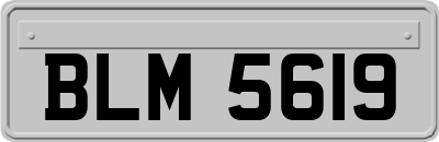 BLM5619