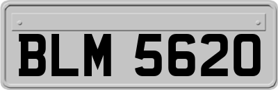 BLM5620