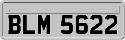 BLM5622